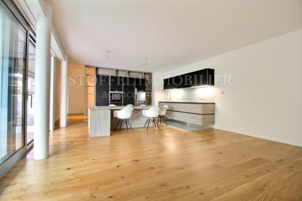 Bel Appartement Contemporain